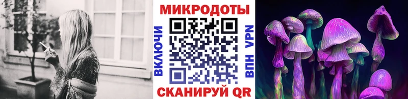 Псилоцибиновые грибы Cubensis  darknet какой сайт  Бежецк 